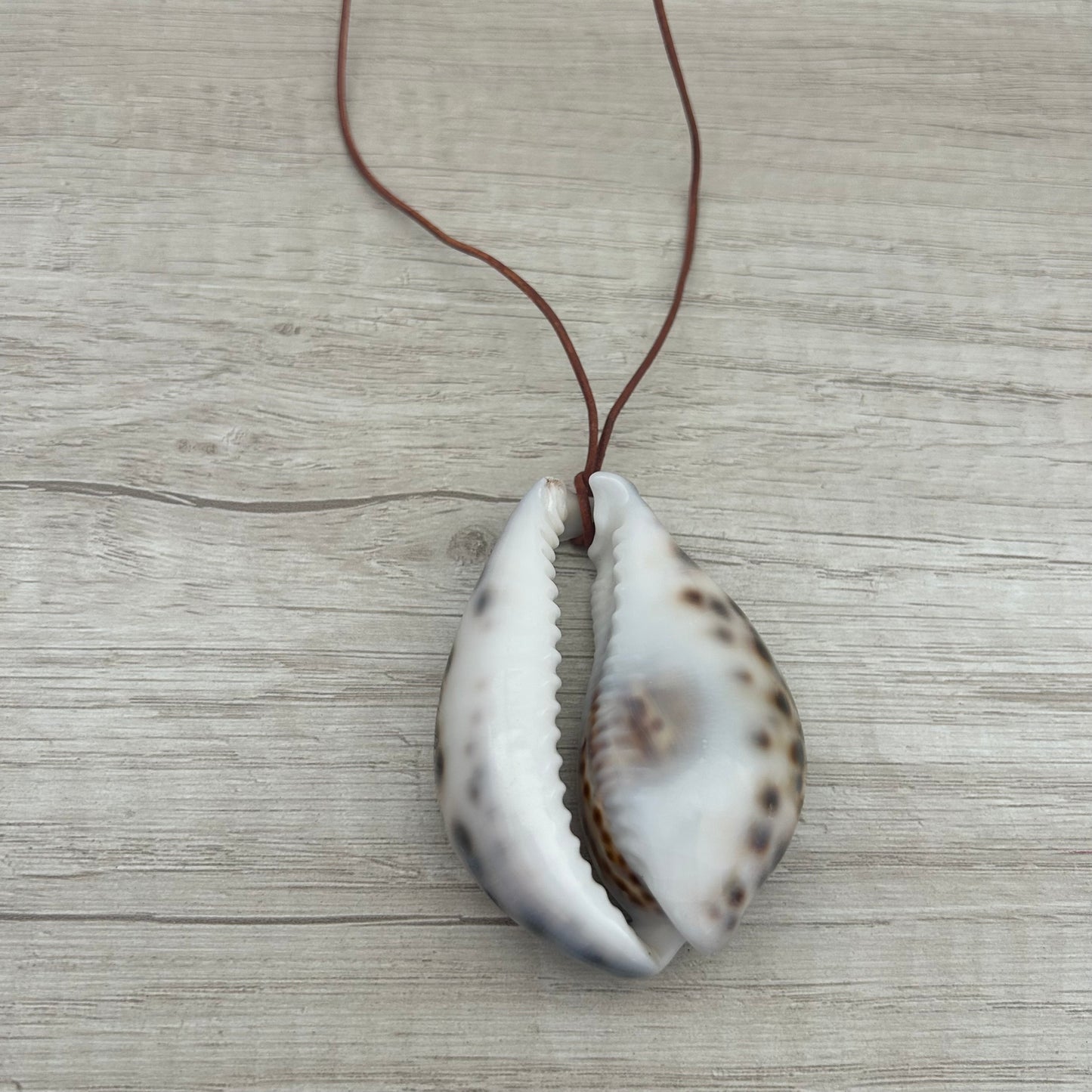 Big Shell cuero coffee