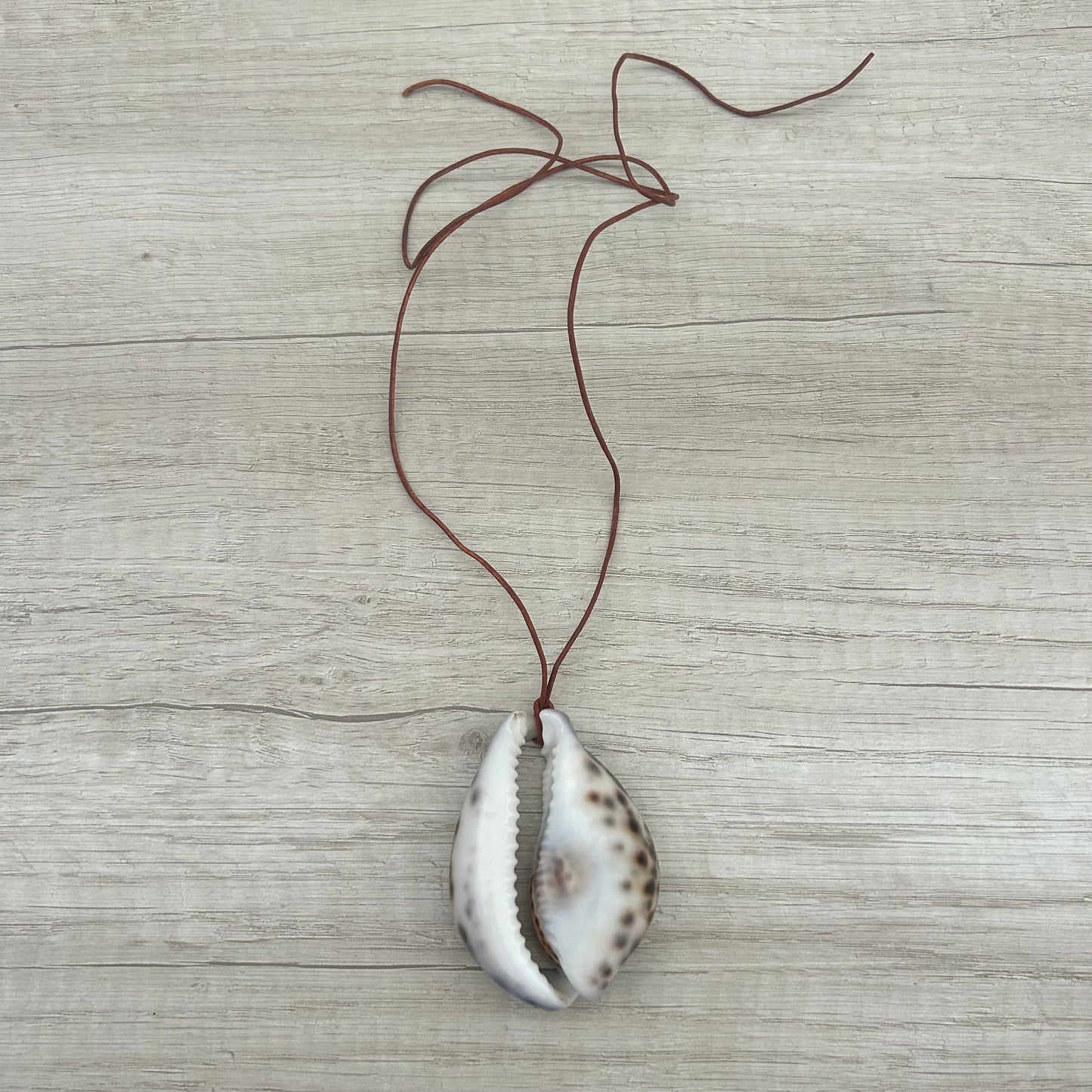 Big Shell cuero coffee